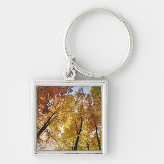 Colourful Trees Key Ring (Front)
