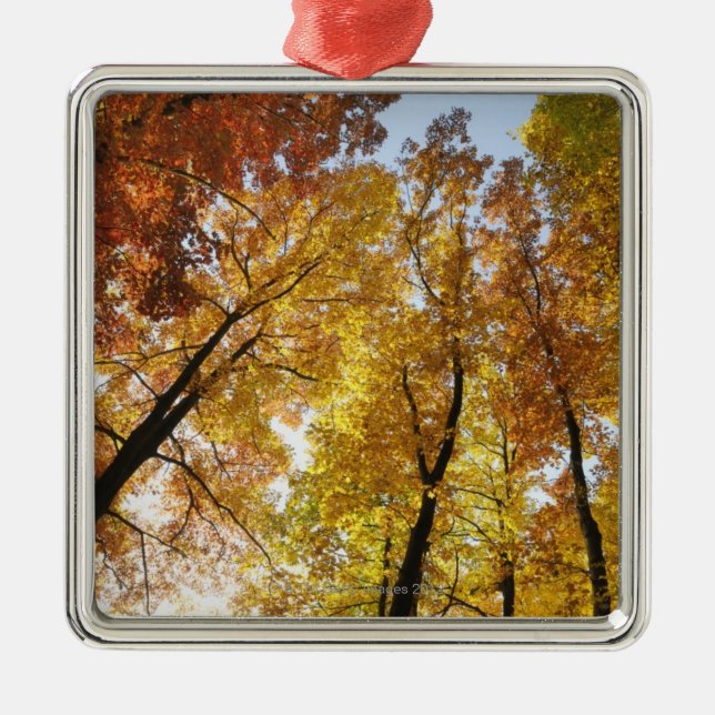 Colourful Trees Metal Tree Decoration (Front)
