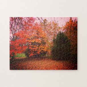 Colourful Trees Of Fall Jigsaw Puzzle