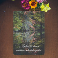 Colourful trees reflecting upon the calm water