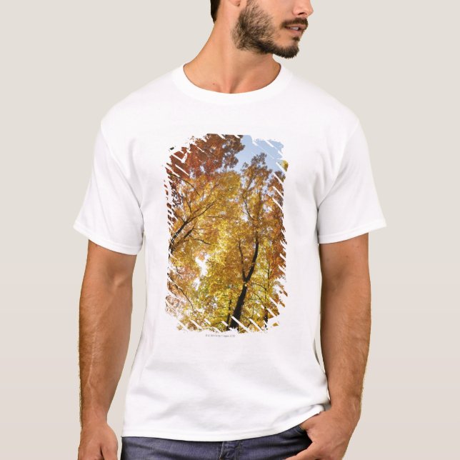 Colourful Trees T-Shirt (Front)