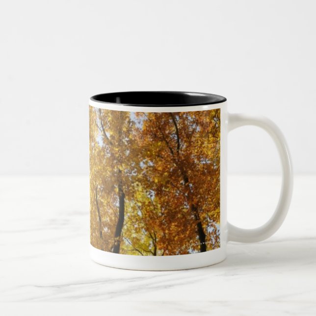 Colourful Trees Two-Tone Coffee Mug (Right)