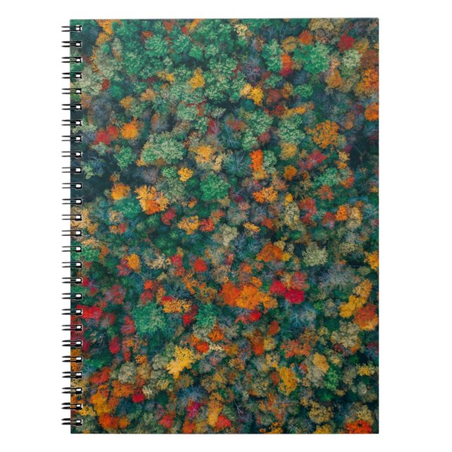 Colourful Treetops Notebook (Front)