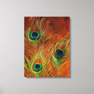colourful trio peacock feathers wrapped canvas
