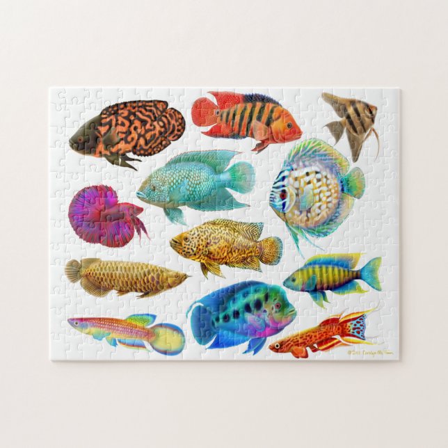 Colourful Tropical Aquarium Fish Puzzle (Horizontal)