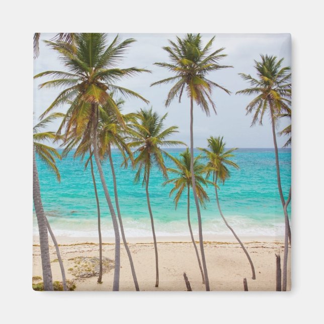 Colourful Tropical Beach Magnet (Front)