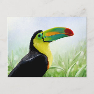 Colourful Tropical Bird Black Yellow Green Toucan Postcard