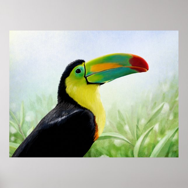 Colourful Tropical Bird Black Yellow Green Toucan Poster (Front)