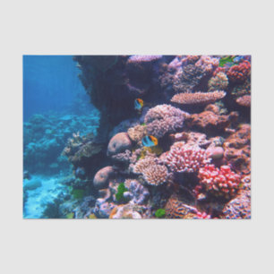 Colourful Tropical Coral Reef Tissue Paper