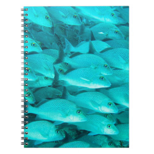 Colourful tropical fish and coral reef in the ocea notebook