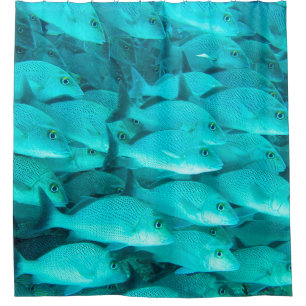 Colourful tropical fish and coral reef in the ocea shower curtain