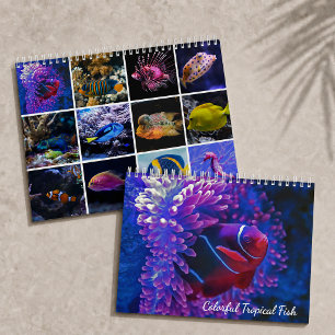 Colourful Tropical Fish Underwater Paradise 2027 Calendar