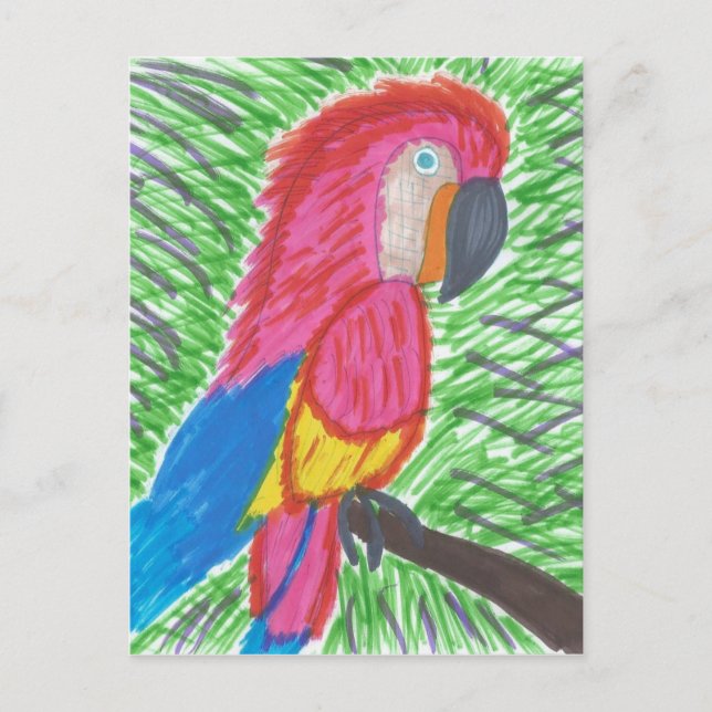 Colourful Tropical Macaw Postcard (Front)