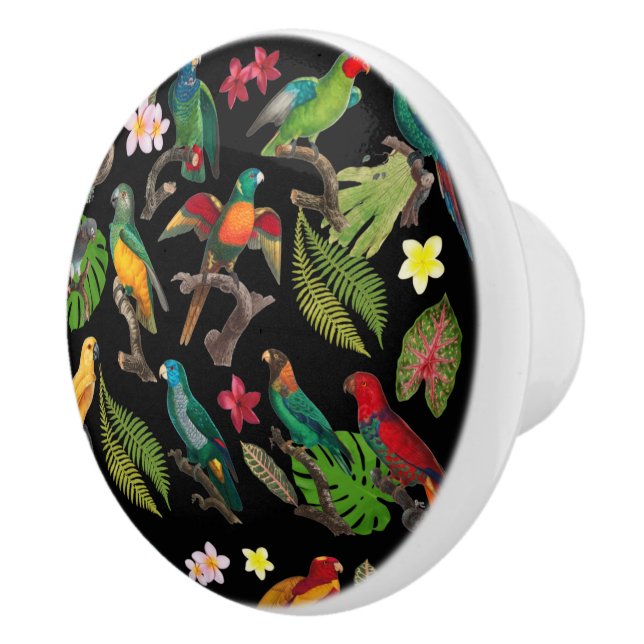 Colourful Tropical Parrots, Leaves & Flowers  Ceramic Knob (Right)