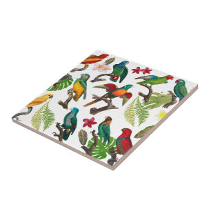 Colourful Tropical Parrots, Leaves & Flowers Tile