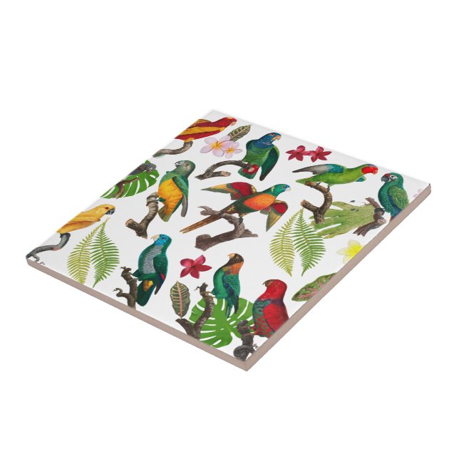 Colourful Tropical Parrots, Leaves & Flowers  Tile (Side)