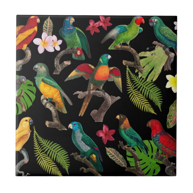 Colourful Tropical Parrots, Leaves & Flowers  Tile (Front)