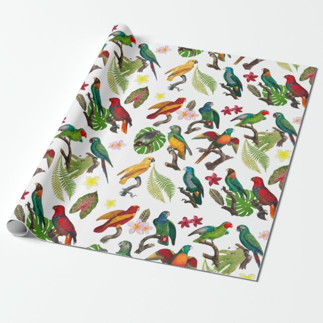 Colourful Tropical Parrots, Leaves & Flowers Wrapping Paper (Unrolled)