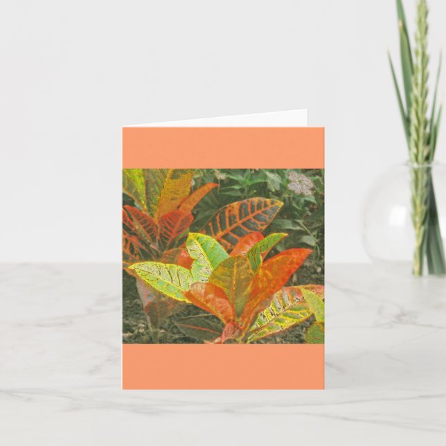 "Colourful Tropical Plants" Card (Front)