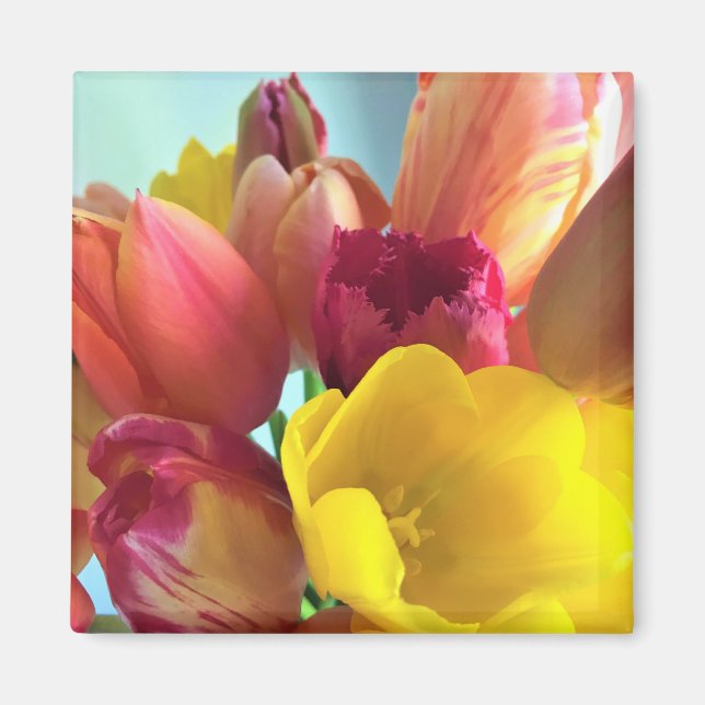 Colourful Tulip Bouquet Magnet (Front)