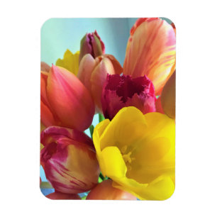 Colourful Tulip Bouquet Magnet