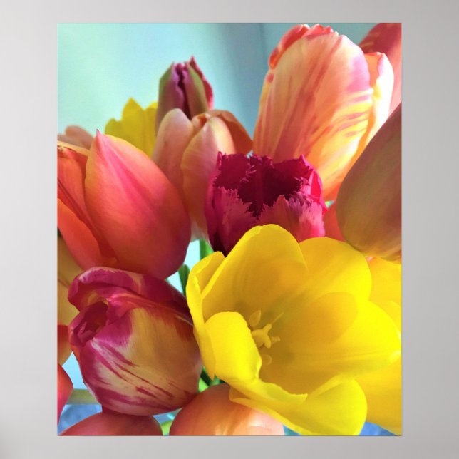 Colourful Tulip Bouquet Poster (Front)