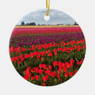 Colourful Tulip Field, Woodburn, Oregon Ceramic Tree Decoration