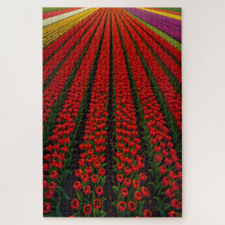 Colourful Tulip Fields Jigsaw Puzzle