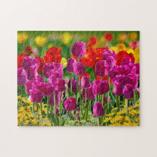 Colourful Tulip Flower Garden Jigsaw Puzzle