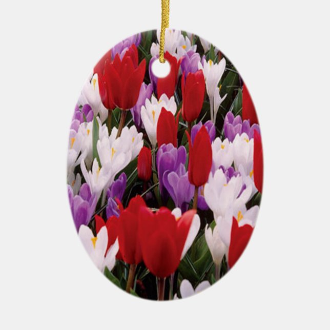 Colourful Tulip Flowers Ornament (Front)