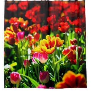 Colourful Tulip Flowers Shower Curtain