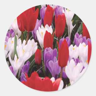 Colourful Tulip Flowers Stickers