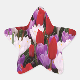 Colourful Tulip Flowers Stickers
