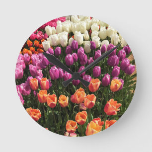 Colourful Tulip Garden Bed, Oregon Round Clock