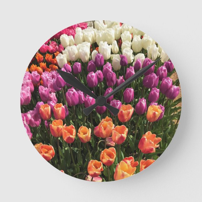 Colourful Tulip Garden Bed, Oregon Round Clock (Front)