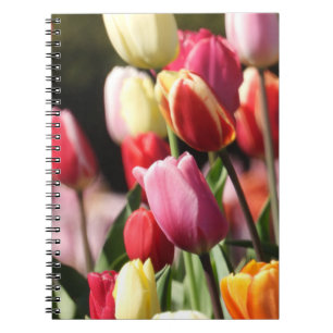 Colourful Tulip Garden Notebook