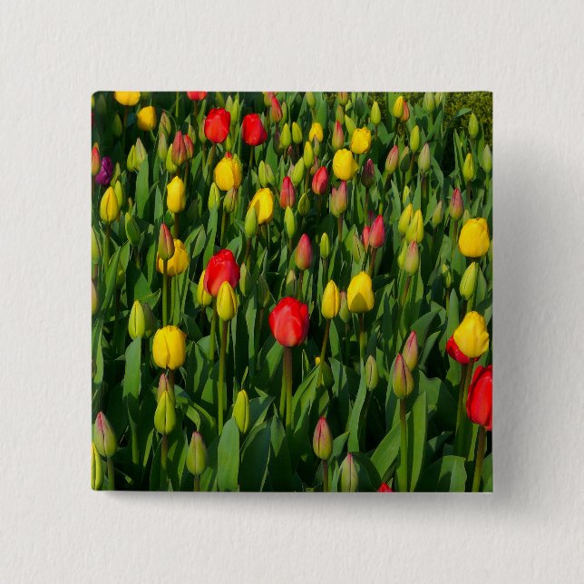 Colourful Tulips 15 Cm Square Badge (Front)