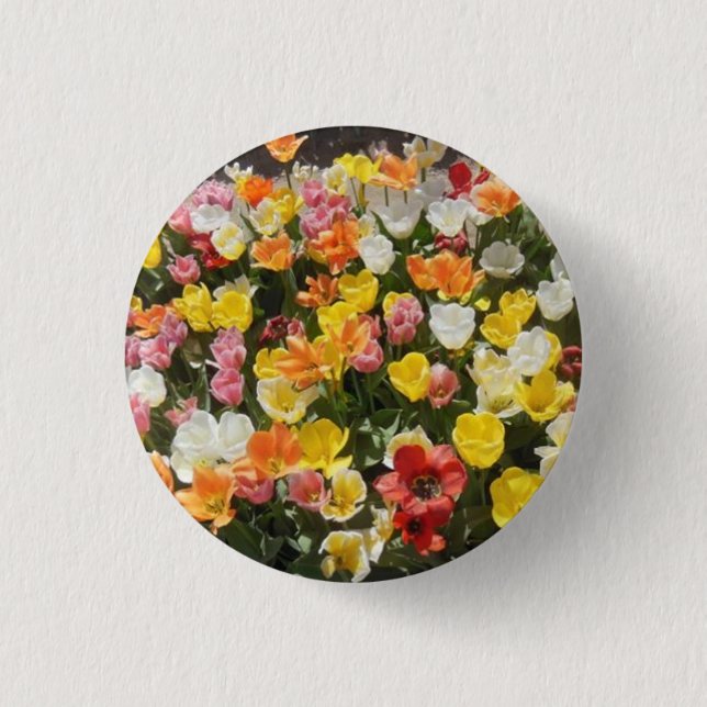 Colourful Tulips 3 Cm Round Badge (Front)