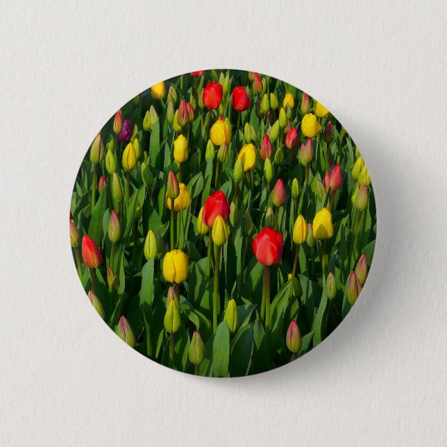Colourful Tulips 6 Cm Round Badge (Front)