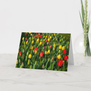 Colourful Tulips Card