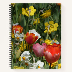 Colourful Tulips & Daffodils Notebook