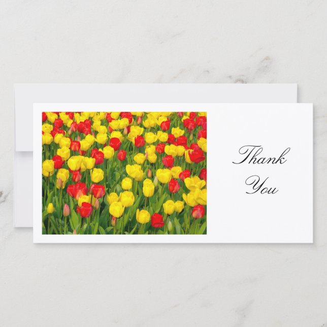 Colourful Tulips II - Thank You (Front)