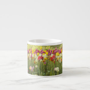 Colourful tulips in a park 2 espresso cup