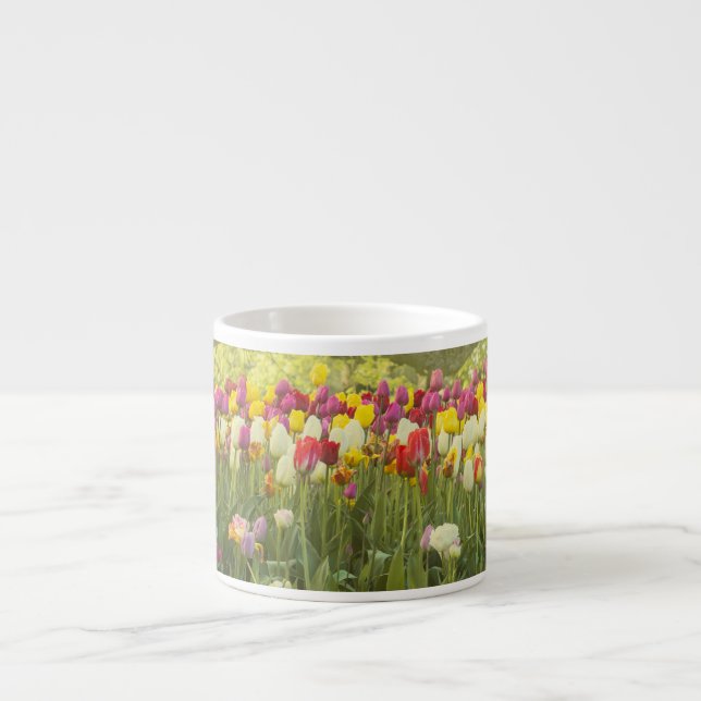 Colourful tulips in a park 2 espresso cup (Front)