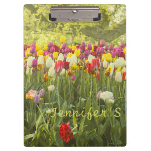 Colourful tulips in a park personalised clipboard