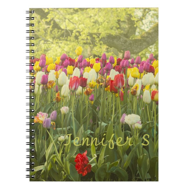 Colourful tulips in a park personalised  notebook (Front)