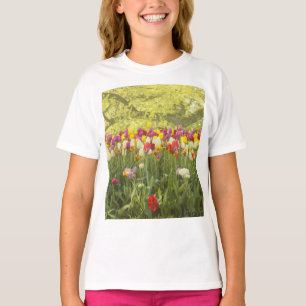 Colourful tulips in a park T-Shirt