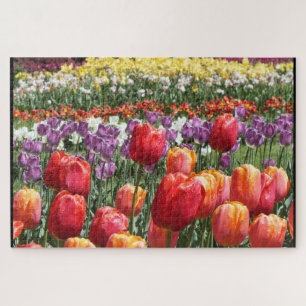 Colourful Tulips in Bloom Elizabeth Park Hartford Jigsaw Puzzle