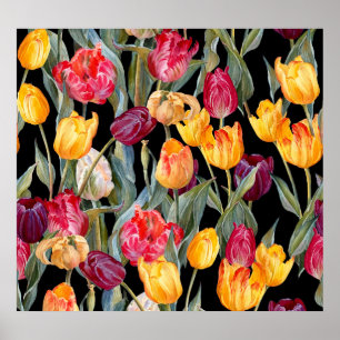 Colourful tulips, isolated black background. poster