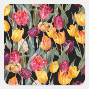 Colourful tulips, isolated black background. square sticker